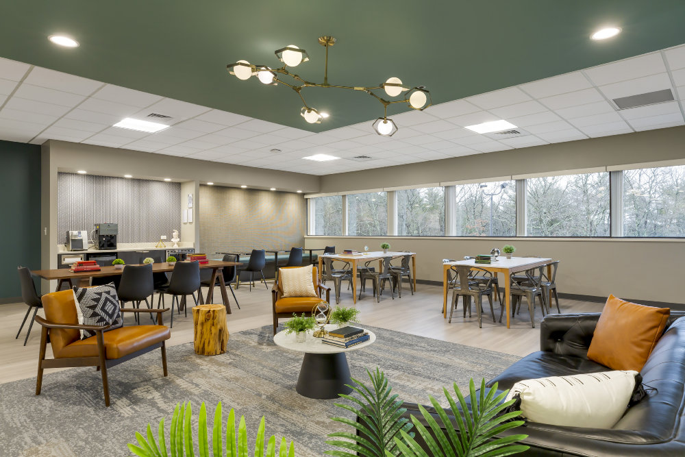 Interior images of Flexible office space at 85 Swanson Road 1