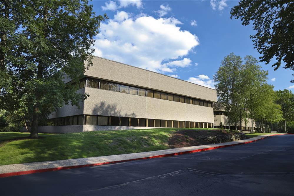 Interior images of Flexible office space at 85 Swanson Road 3