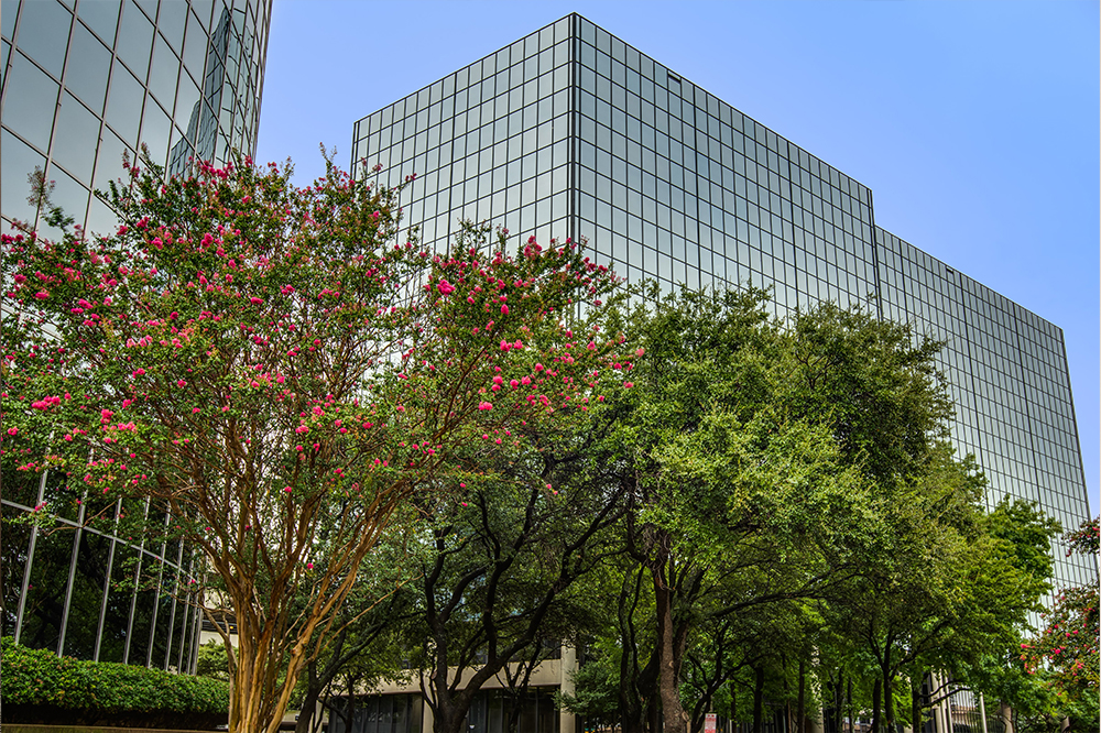 Interior images of Flexible office space at 8330-8360 Lyndon B Johnson Fwy 4