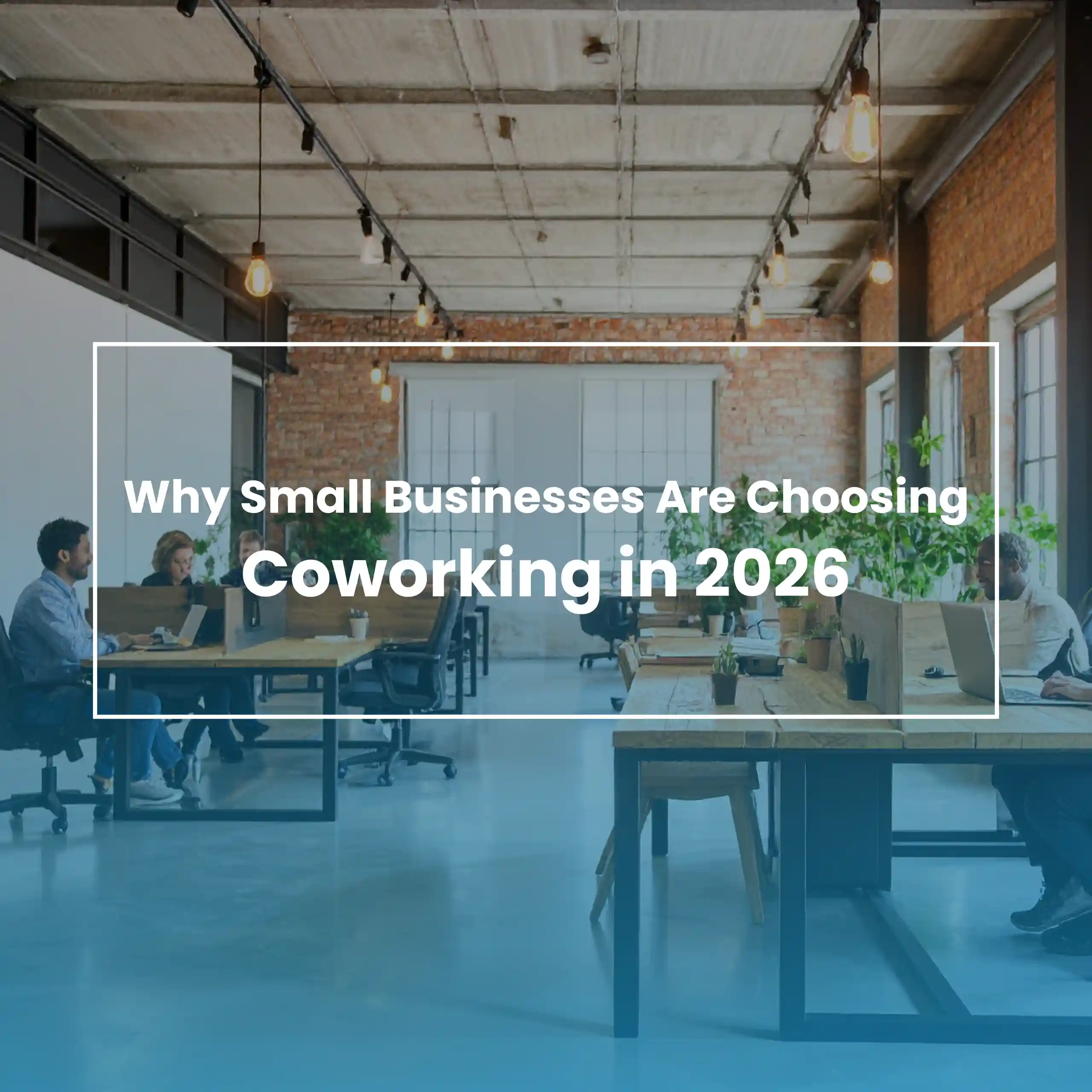 why small businesses are choosing coworking in 2026   thumb coworking in 2026